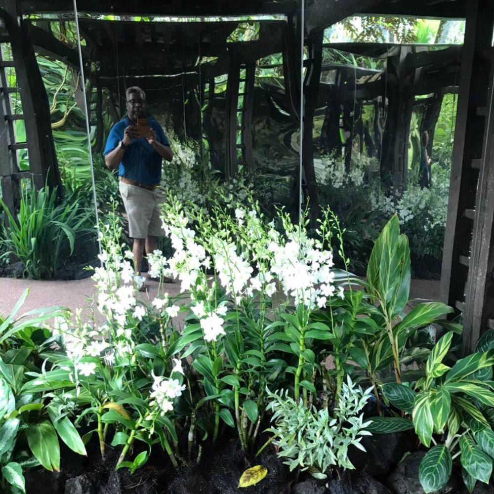 Meet your Posher, Kenneth